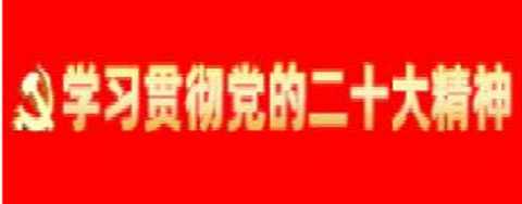 學習貫徹黨的二十大精神專題